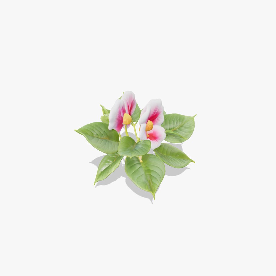 Ipomoea Flower Collection Hyper-realistic model pack